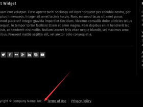 如何在Wordpress RT-Theme 19 主题底部增加网站统计图标