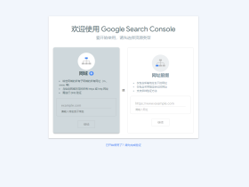 如何在Google Search Console里设置网站域名的DNS验证