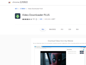 如何下载网上的视频?Video Downloader PLUS插件介绍