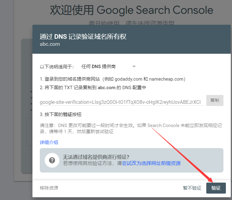 如何在Google Search Console里设置网站域名的DNS验证 -验证步骤